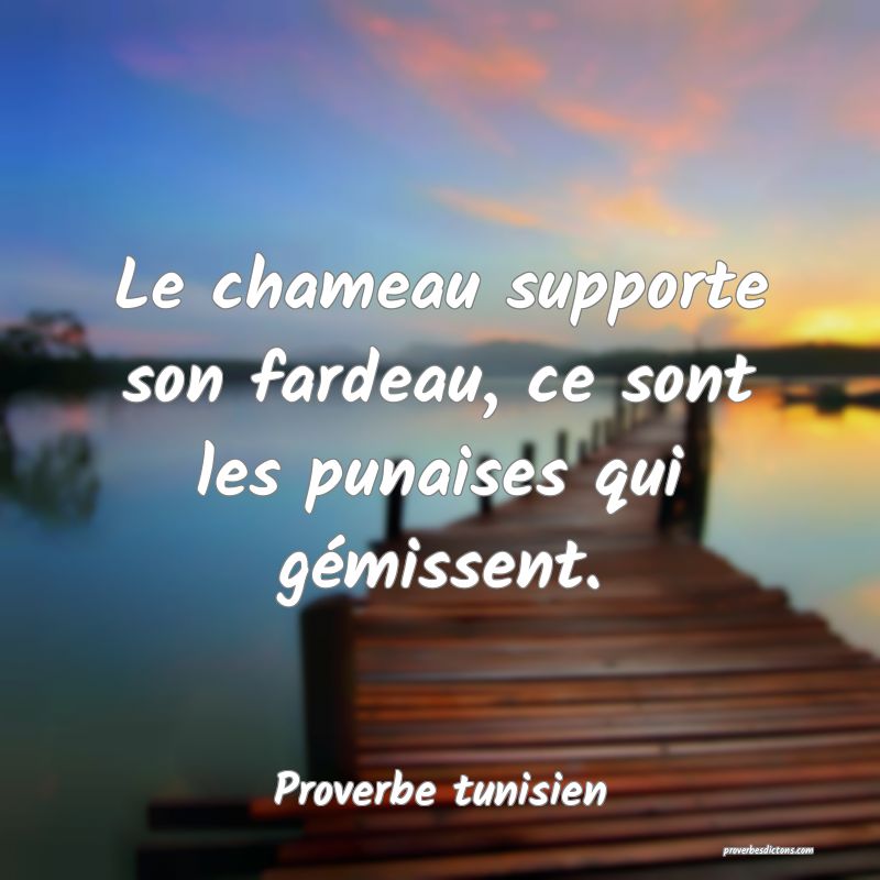 Le chameau supporte son fardeau, ce sont les punaises qui gémissent.