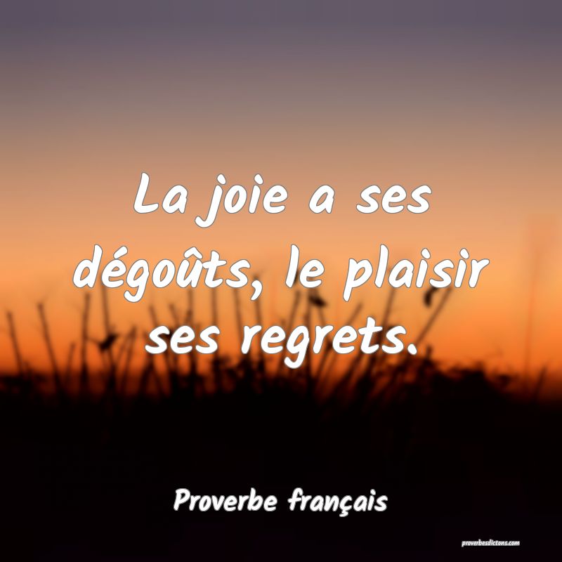 La joie a ses dégoûts, le plaisir ses regrets.