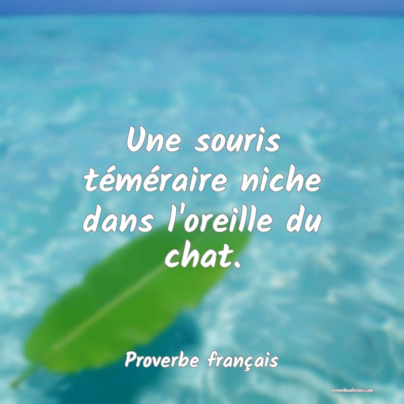 Une souris téméraire niche dans l'oreille du chat.
