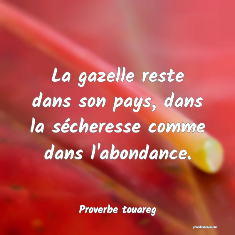 La gazelle reste dans son pays, dans la sécheresse comme dans l'abondance.