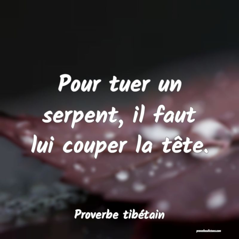 Pour tuer un serpent, il faut lui couper la tête.