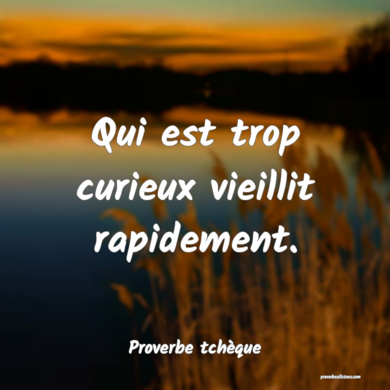 Qui est trop curieux vieillit rapidement.