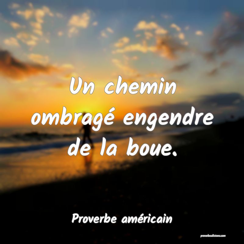 Un chemin ombragé engendre de la boue.