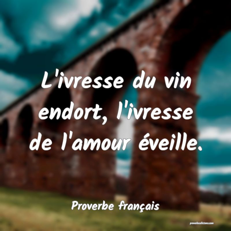 L'ivresse du vin endort, l'ivresse de l'amour éveille.