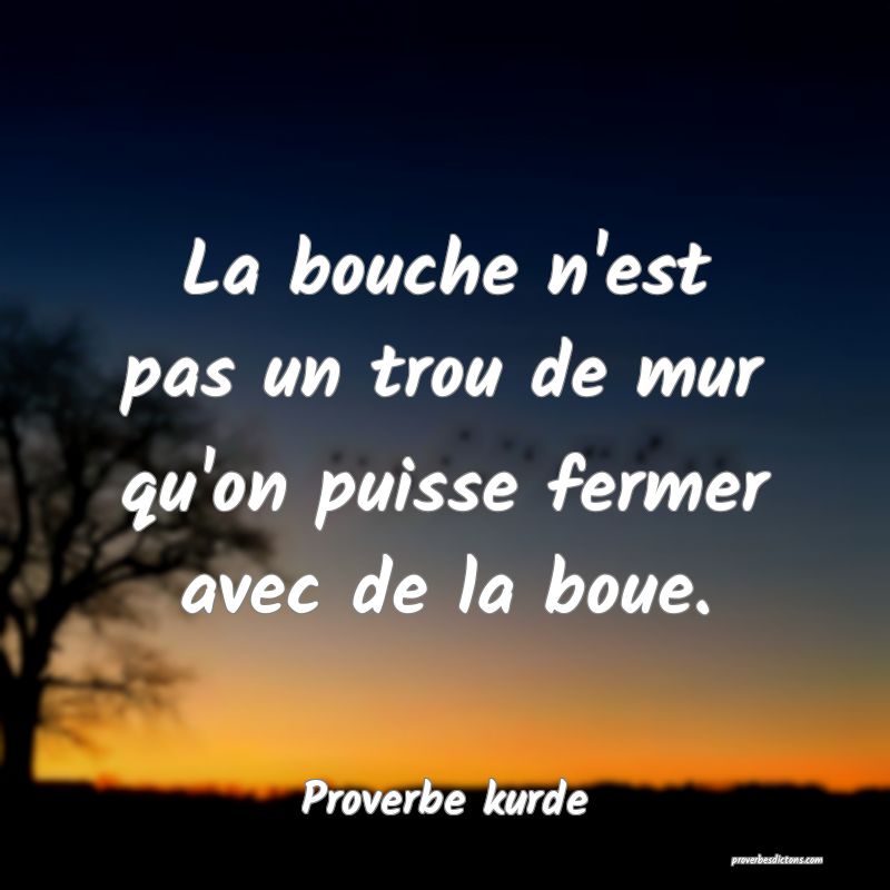 La bouche n'est pas un trou de mur qu'on puisse fermer avec de la boue.