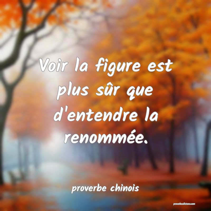  Voir la figure est plus sûr que d'entendre la renommée.