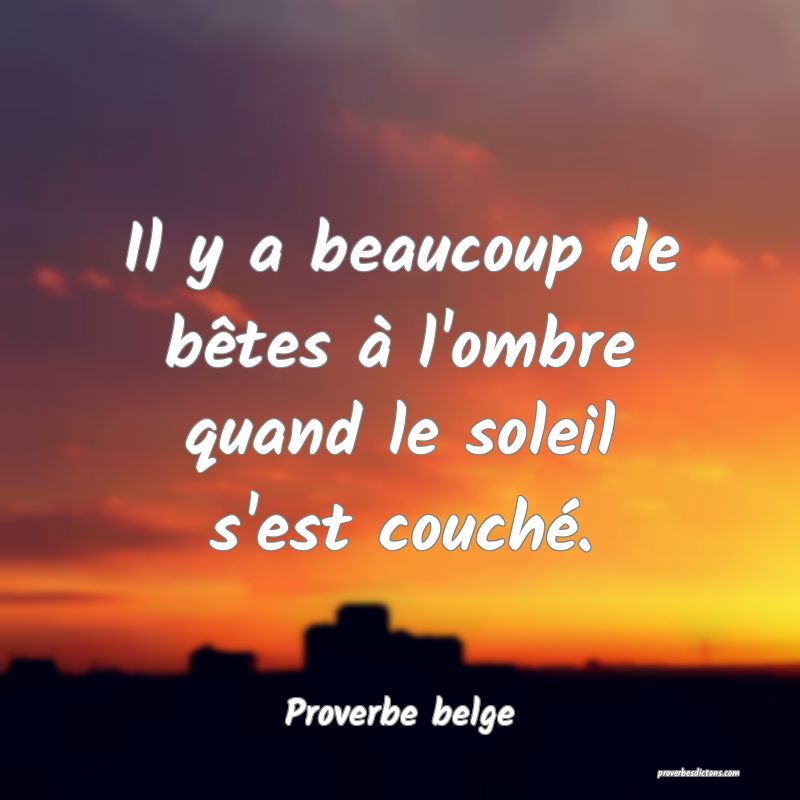 Il y a beaucoup de bêtes à l'ombre quand le soleil s'est couché.