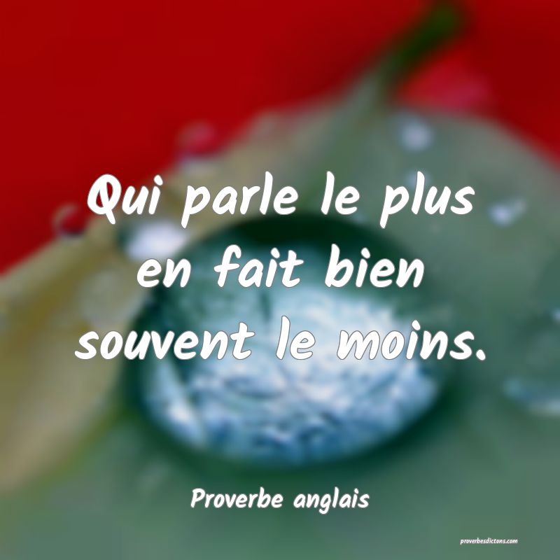 Qui parle le plus en fait bien souvent le moins.