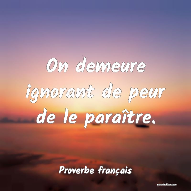On demeure ignorant de peur de le paraître.