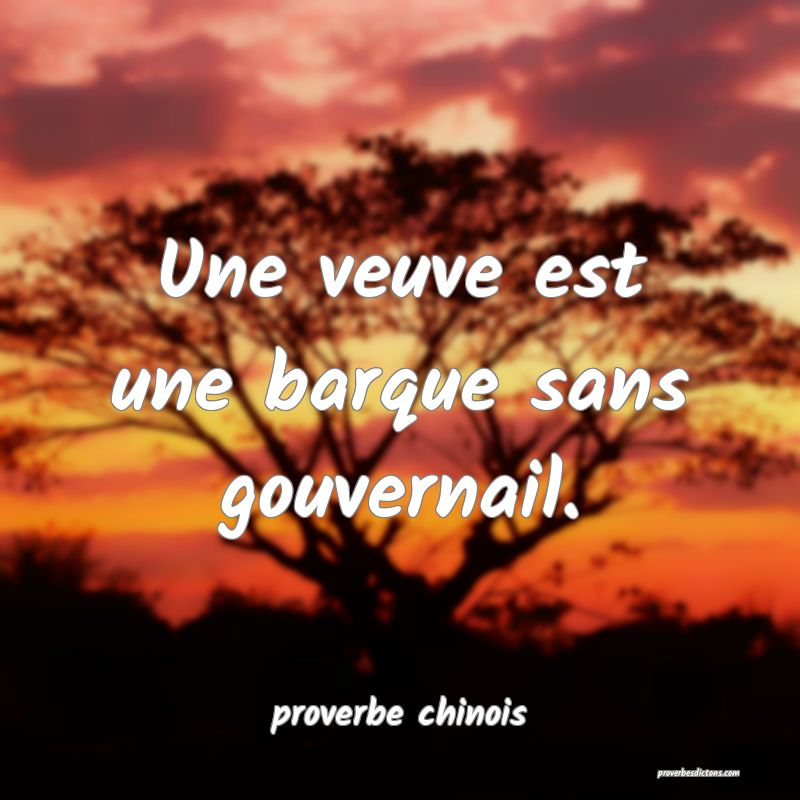  Une veuve est une barque sans gouvernail.