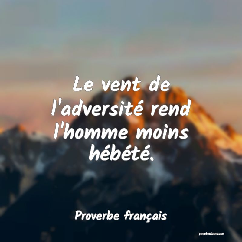 Le vent de l'adversité rend l'homme moins hébété.