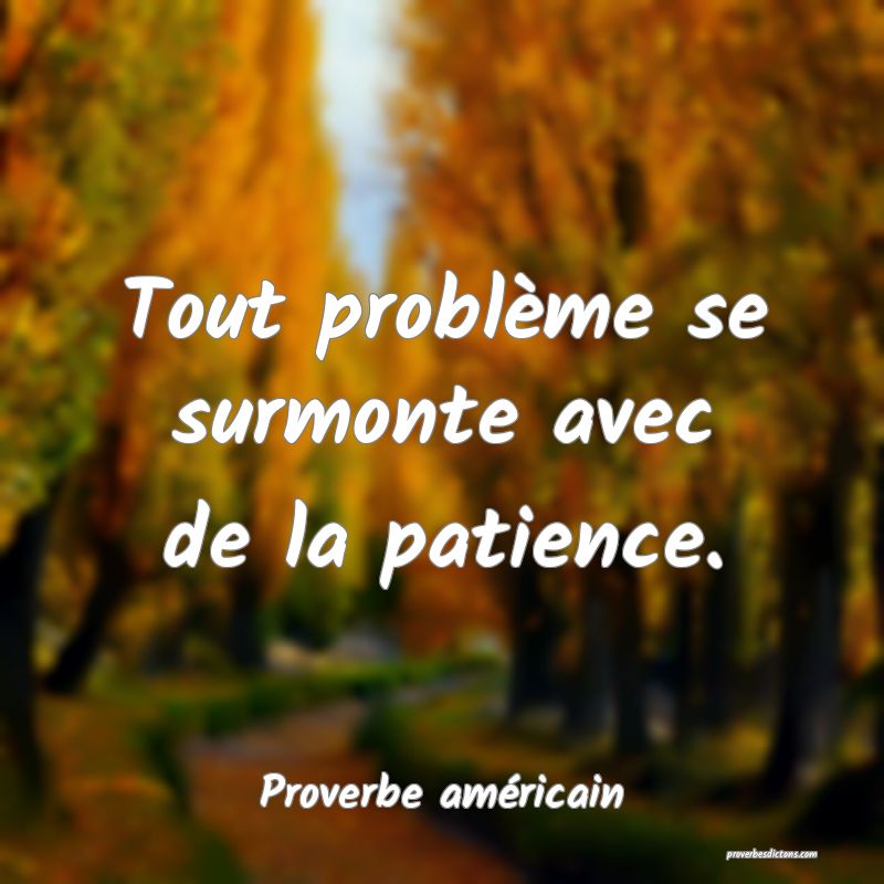 Tout problème se surmonte avec de la patience.