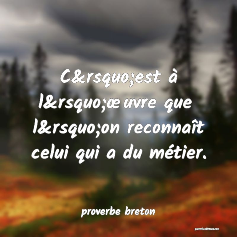  C’est à l’œuvre que  l’on reconnaît celui qui a du métier.