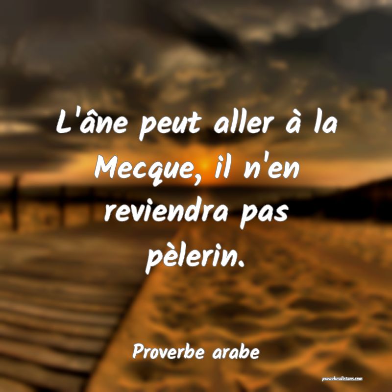 L'âne peut aller à la Mecque, il n'en reviendra pas pèlerin.