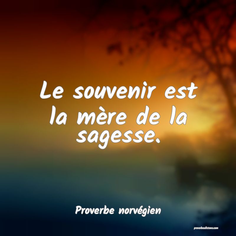 Le souvenir est la mère de la sagesse.