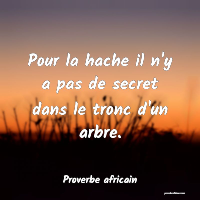 Pour la hache il n'y a pas de secret dans le tronc d'un arbre.