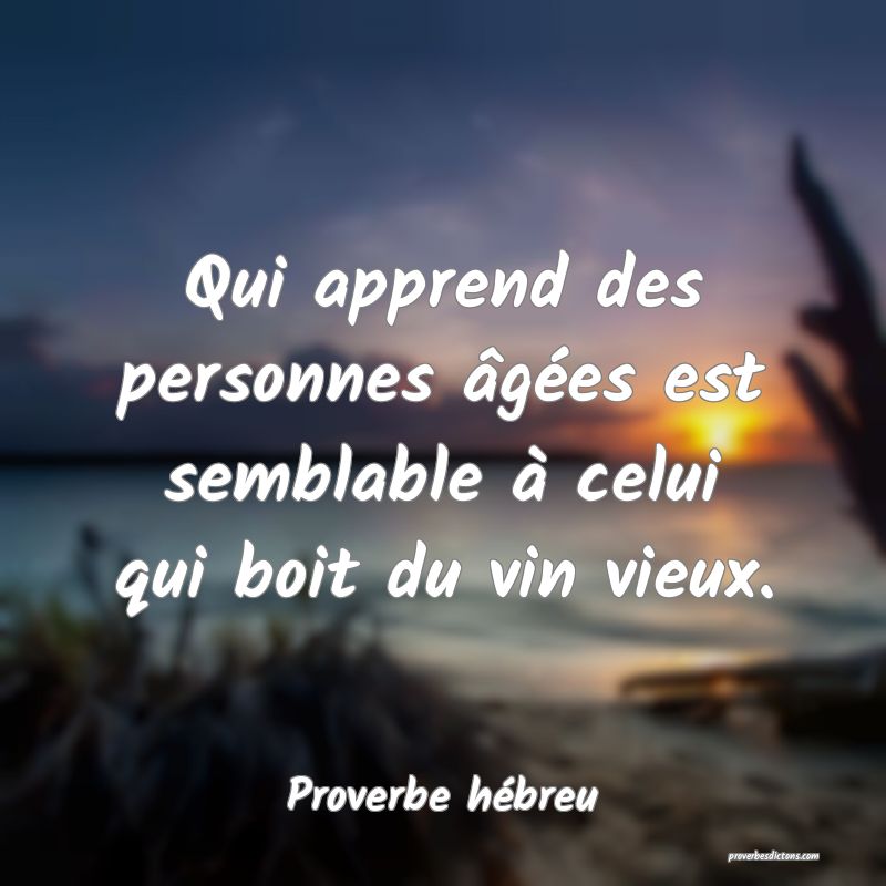 Qui apprend des personnes âgées est semblable à celui qui boit du vin vieux.