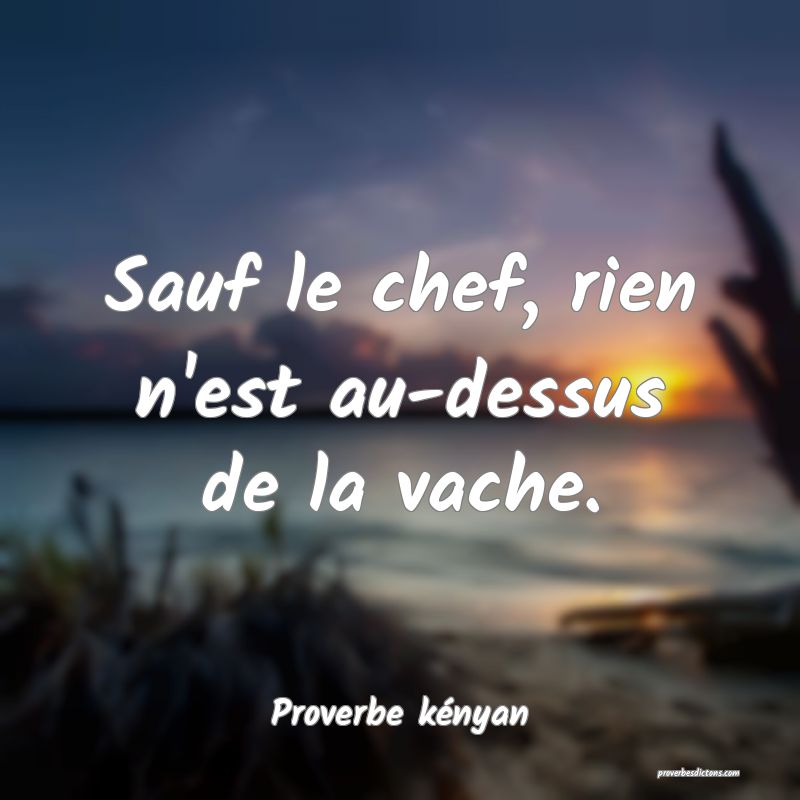 Sauf le chef, rien n'est au-dessus de la vache.