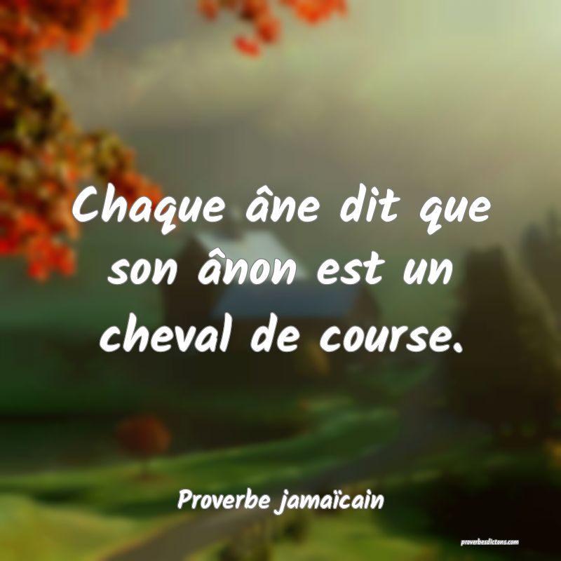 Chaque âne dit que son ânon est un cheval de course.