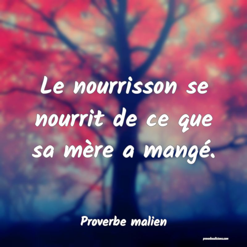 Le nourrisson se nourrit de ce que sa mère a mangé.