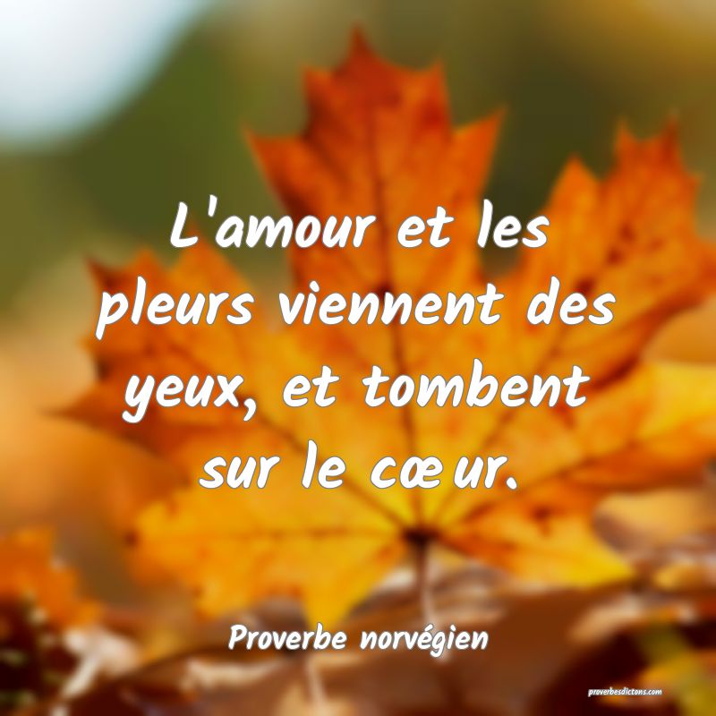 L'amour et les pleurs viennent des yeux, et tombent sur le cœur.