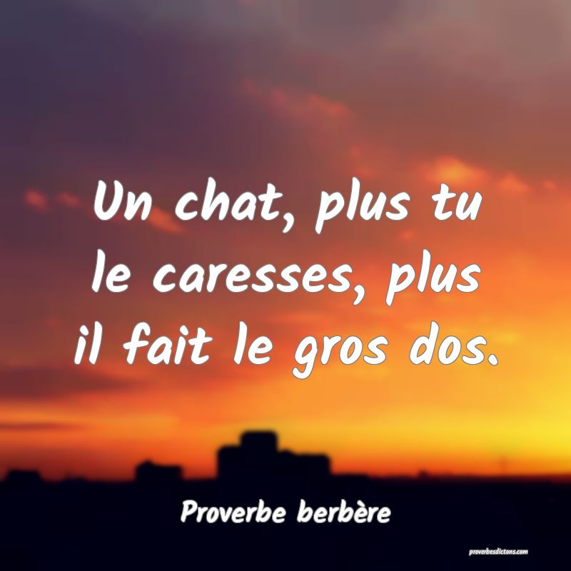 Un chat, plus tu le caresses, plus il fait le gros dos.