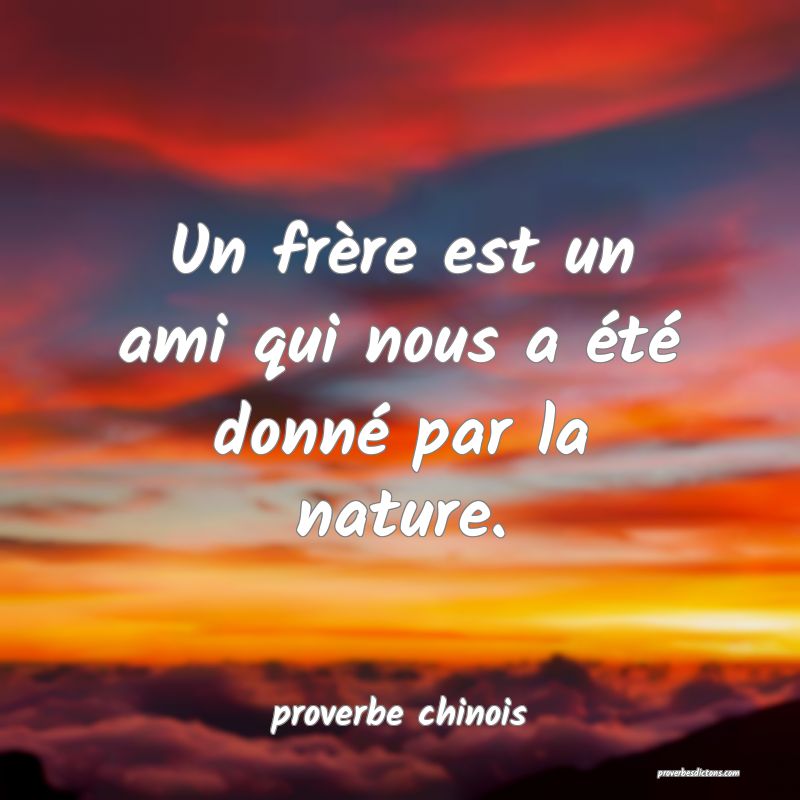  Un frère est un ami qui nous a été donné par la nature.