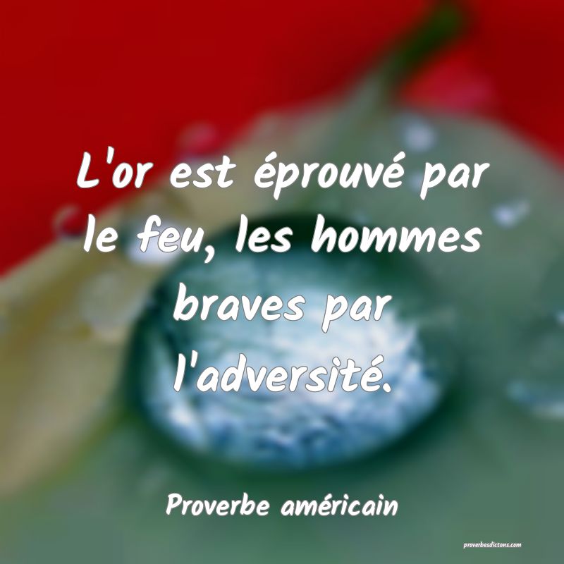 L'or est éprouvé par le feu, les hommes braves par l'adversité.