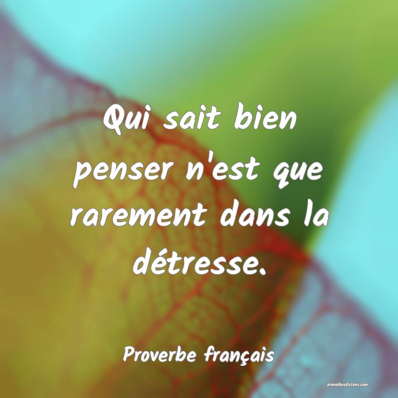 Qui sait bien penser n'est que rarement dans la détresse.