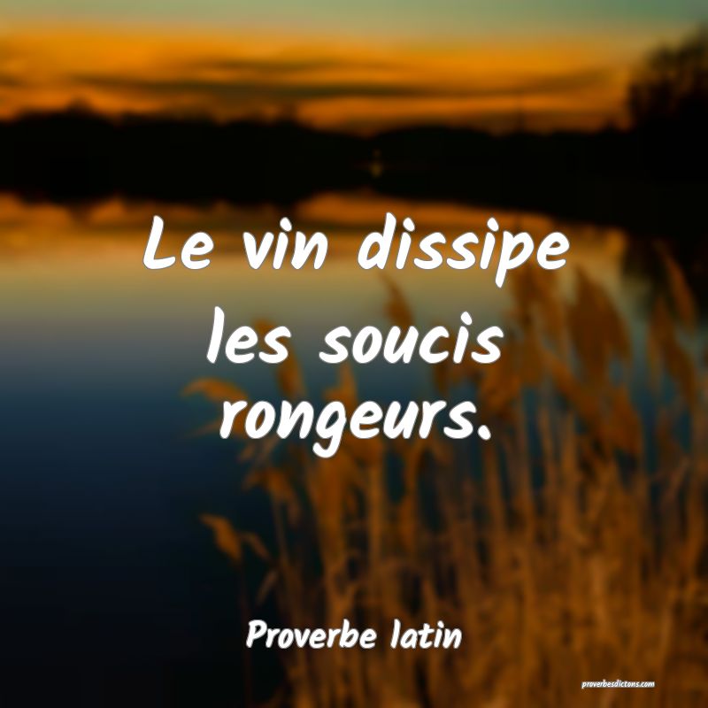 Le vin dissipe les soucis rongeurs.