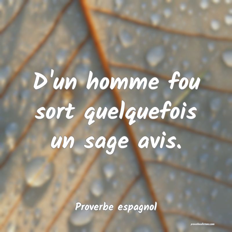 D'un homme fou sort quelquefois un sage avis.