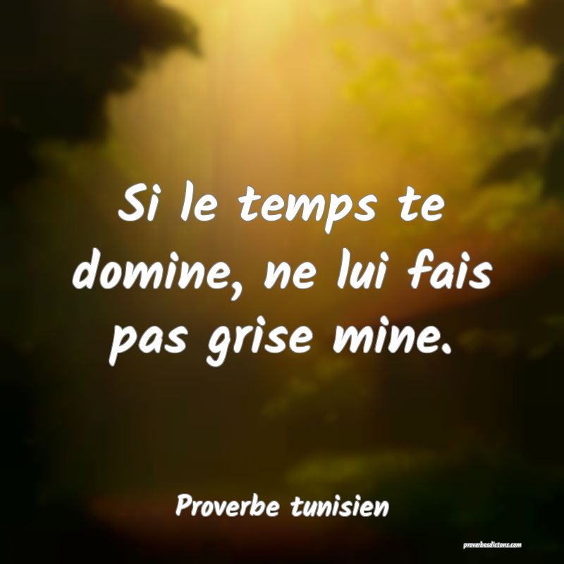 Si le temps te domine, ne lui fais pas grise mine.