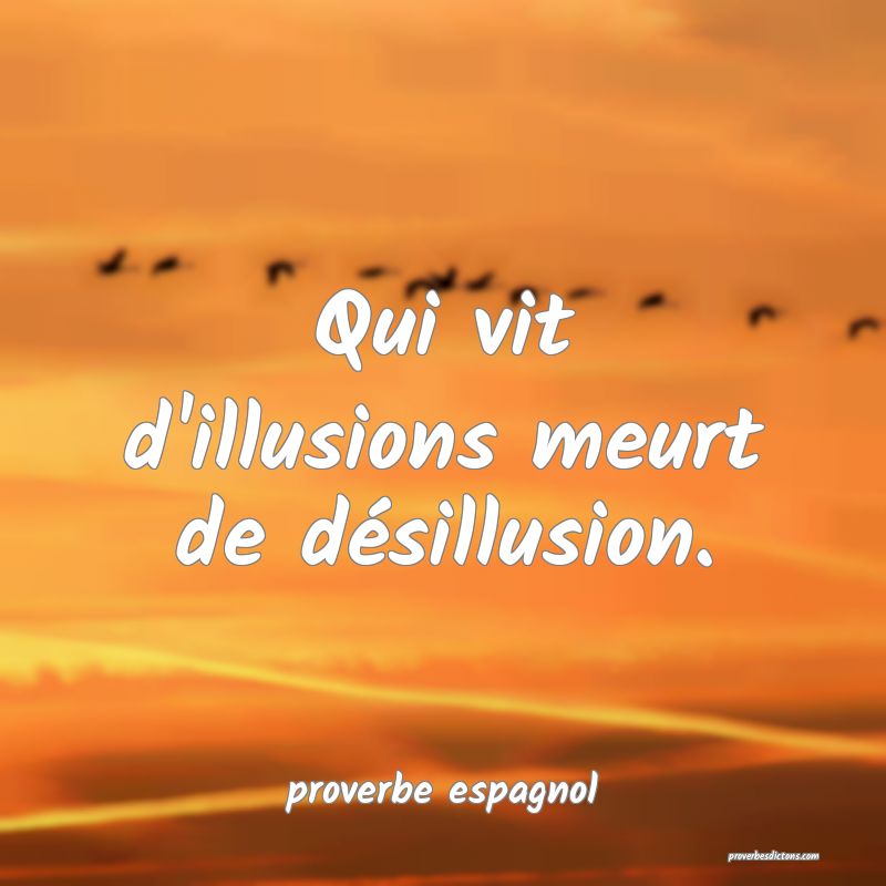 Qui vit d'illusions meurt de désillusion.