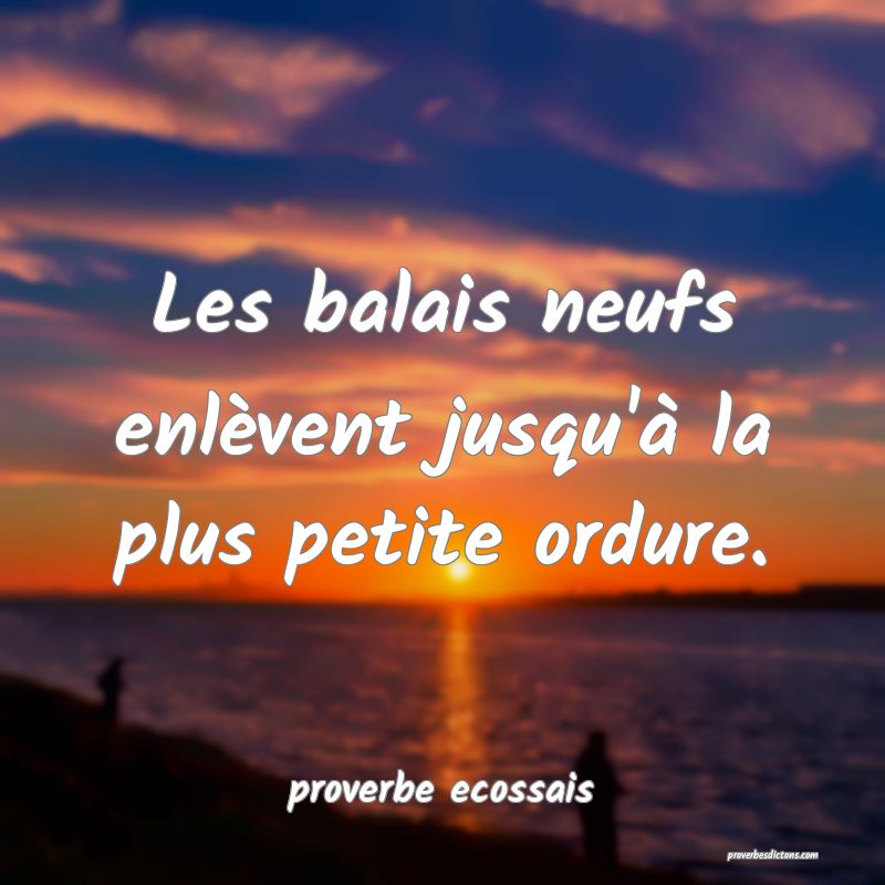 Les balais neufs enlèvent jusqu'à la plus petite ordure.