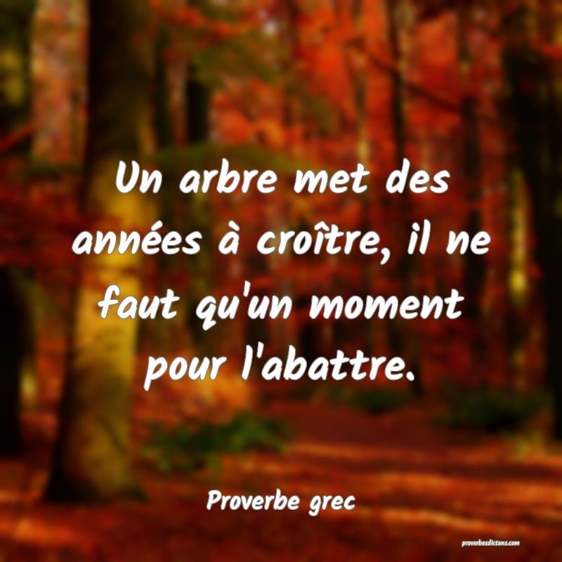 Un arbre met des années à croître, il ne faut qu'un moment pour l'abattre.