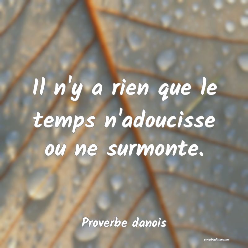 Il n'y a rien que le temps n'adoucisse ou ne surmonte.