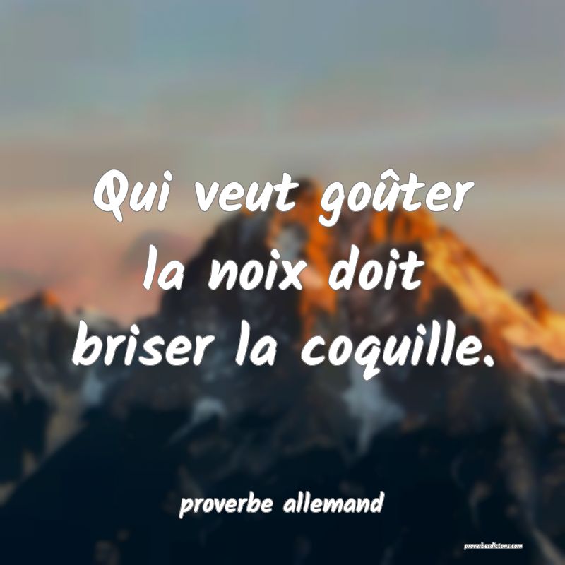  Qui veut goûter la noix doit briser la coquille.
