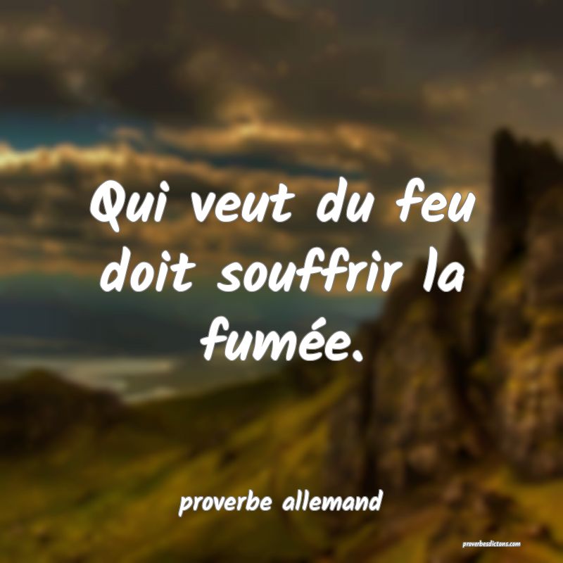  Qui veut du feu doit souffrir la fumée.