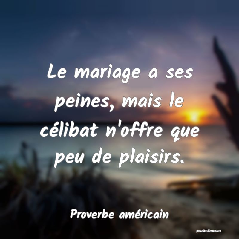 Le mariage a ses peines, mais le célibat n'offre que peu de plaisirs.