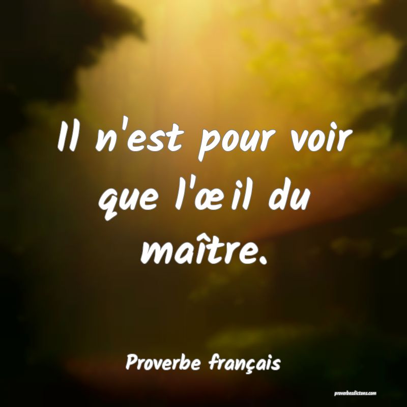 Il n'est pour voir que l'œil du maître.