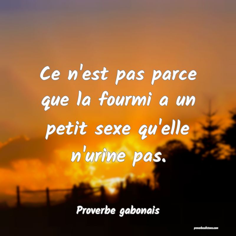 Ce n'est pas parce que la fourmi a un petit sexe qu'elle n'urine pas.