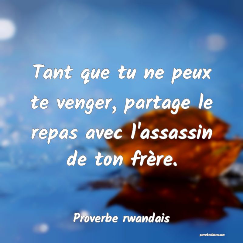 Tant que tu ne peux te venger, partage le repas avec l'assassin de ton frère.