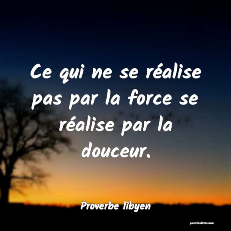 Ce qui ne se réalise pas par la force se réalise par la douceur.