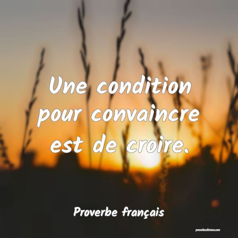 Une condition pour convaincre est de croire.