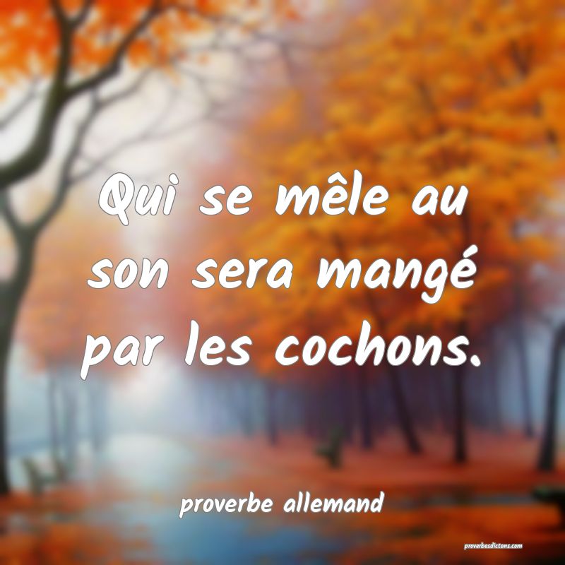  Qui se mêle au son sera mangé par les cochons.