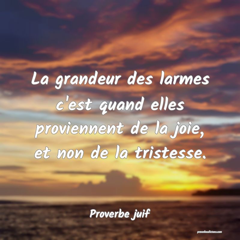 La grandeur des larmes c'est quand elles proviennent de la joie, et non de la tristesse.