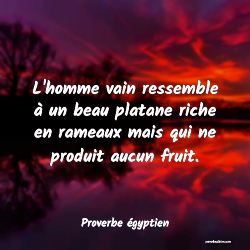 L'homme vain ressemble à un beau platane riche en rameaux mais qui ne produit aucun fruit.