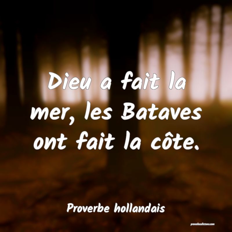 Dieu a fait la mer, les Bataves ont fait la côte.
