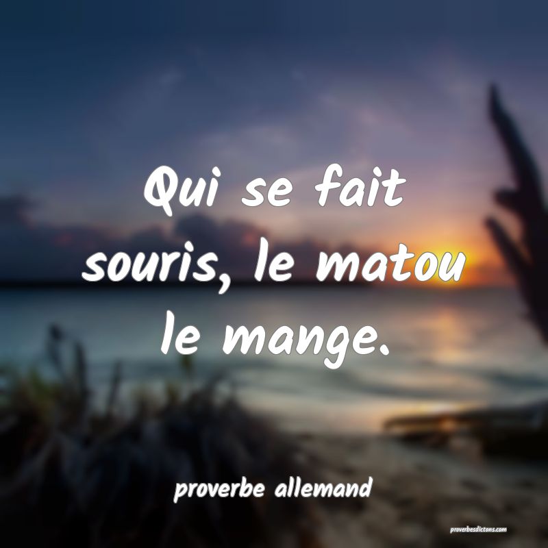  Qui se fait souris, le matou le mange.