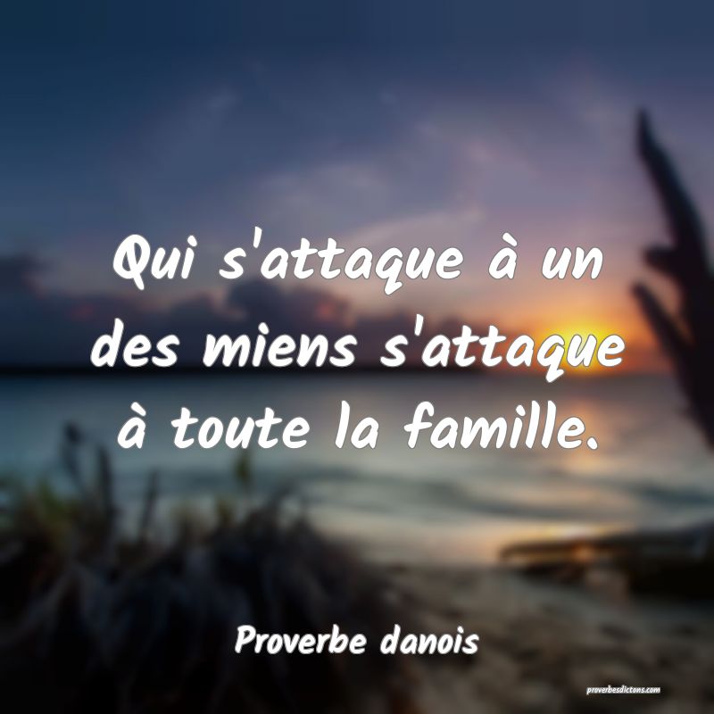 Qui s'attaque à un des miens s'attaque à toute la famille.